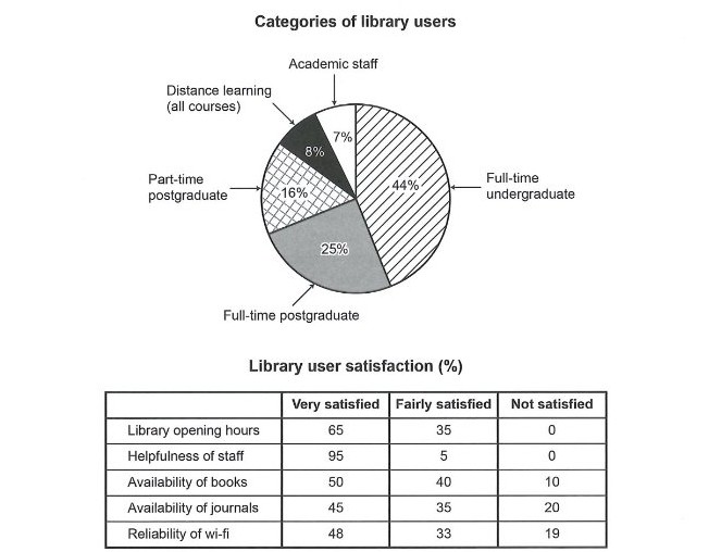 Pie Chart & Table — Library Users